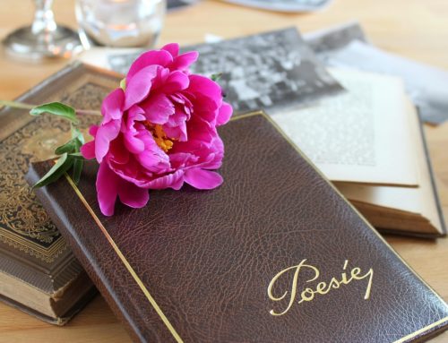 Poesia entre colheradas